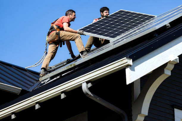 Roof Moss and Algae Removal in Weber City, VA